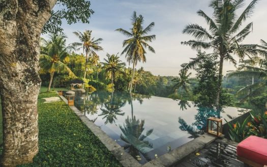 Ubud Luxury Villa - 7 Bedroom Freehold - Bali Luxury Estate 5