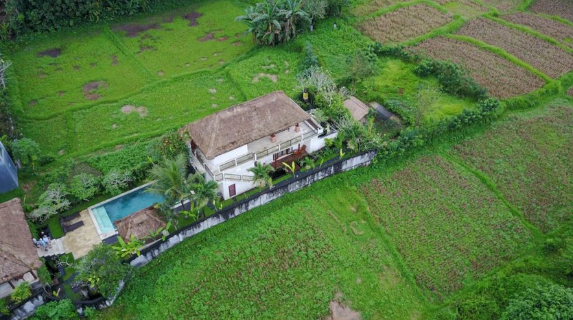 Ubud Three Bedroom Villa For Sale - Bali Luxury Estate (12)