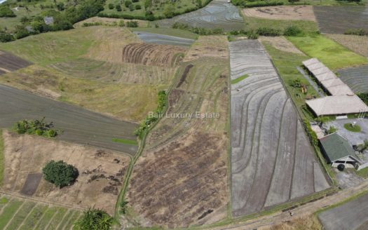 Freehold land in Tabanan with Ocean view