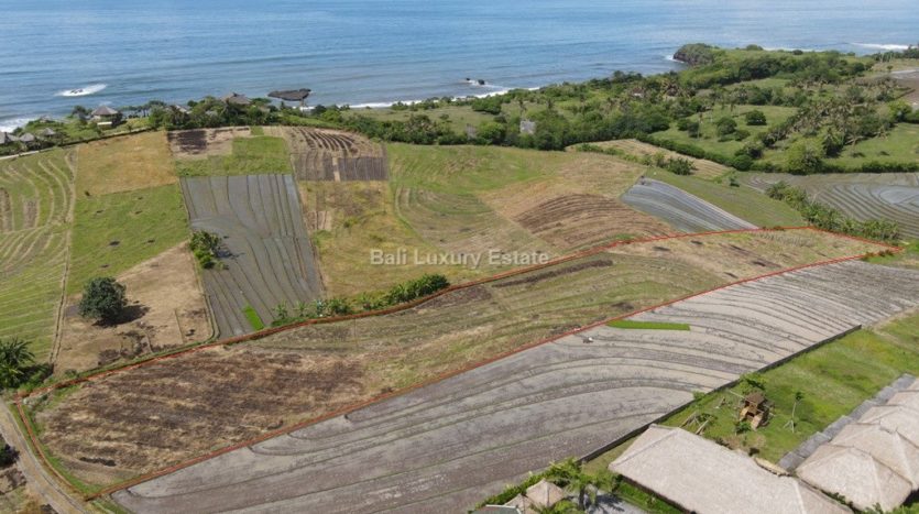 Freehold-land-in-Tabanan-with-Ocean-view-Bali-Luxury-Estate-12