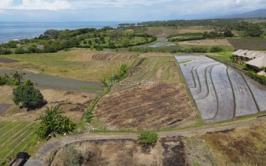 Freehold land in Tabanan with Ocean view