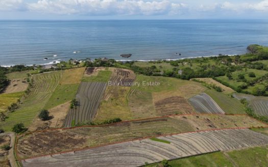 Freehold land in Tabanan with Ocean view