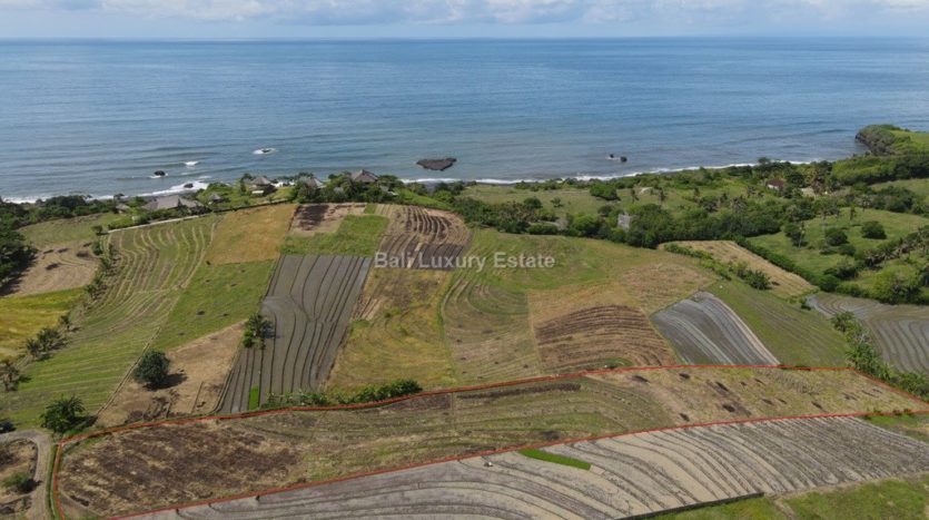 Freehold-land-in-Tabanan-with-Ocean-view-Bali-Luxury-Estate-5-1