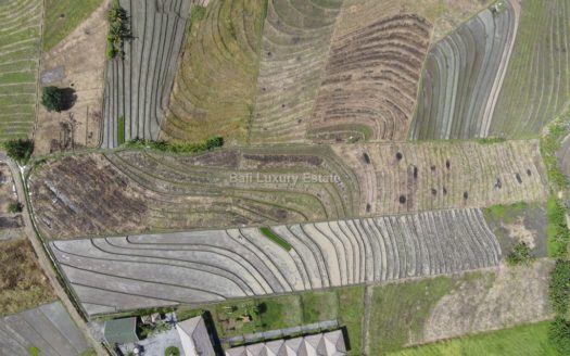 Freehold land in Tabanan with Ocean view