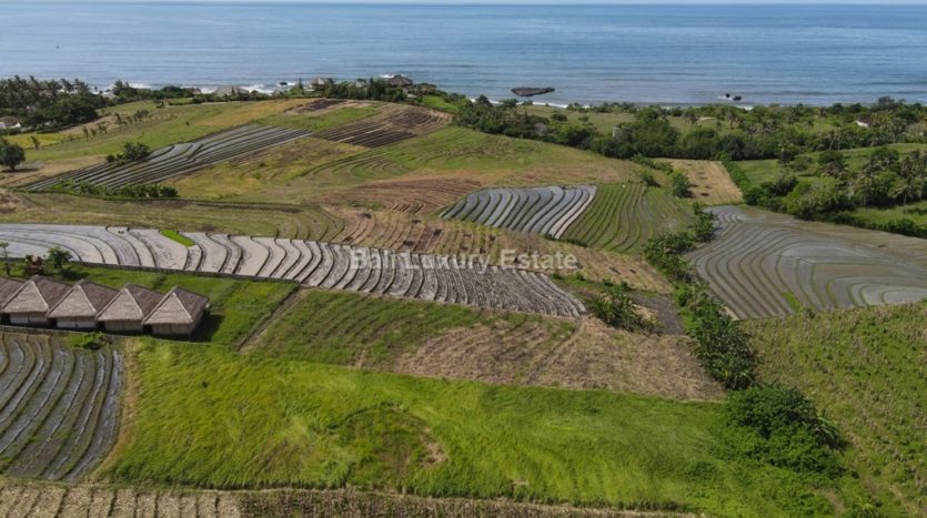 Klecung-Freehold-land-for-sale-with-Ocean-View-Bali-Luxury-Estate-1
