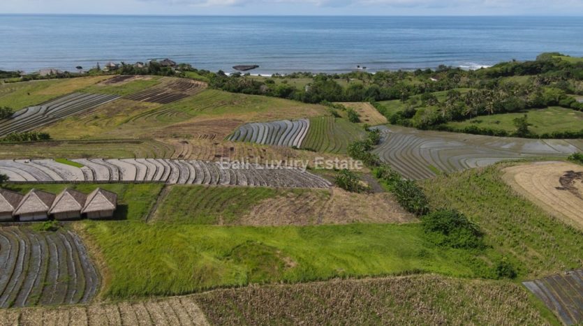 Klecung-Freehold-land-for-sale-with-Ocean-View-Bali-Luxury-Estate-11