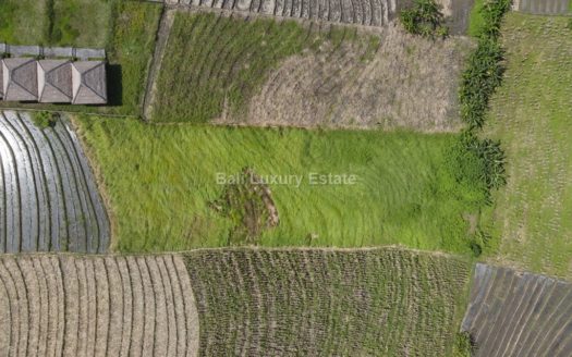 Klecung Freehold land for sale with Ocean View