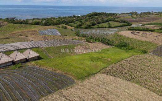 Klecung-Freehold-land-for-sale-with-Ocean-View-Bali-Luxury-Estate-2.