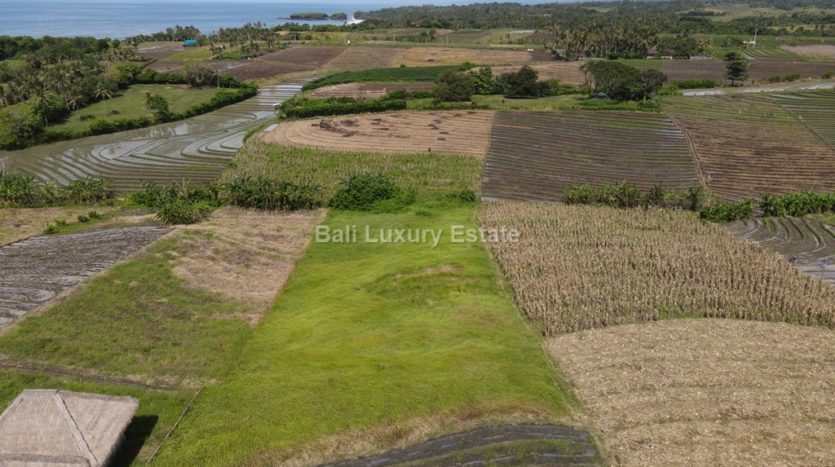 Klecung-Freehold-land-for-sale-with-Ocean-View-Bali-Luxury-Estate-3