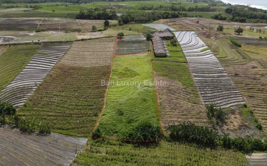 Klecung Freehold land for sale with Ocean View