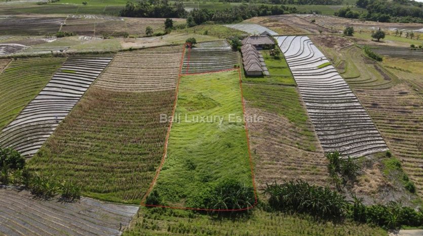 Klecung-Freehold-land-for-sale-with-Ocean-View-Bali-Luxury-Estate-4