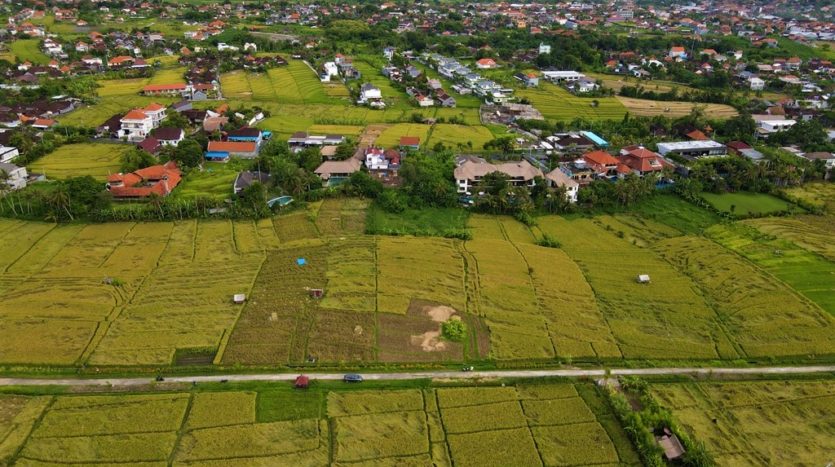 Babakan-Freehold-Land-for-Sale-Bali-Luxury-Estate-5
