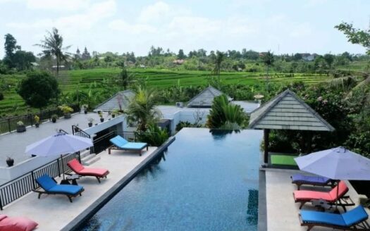 Exclusive Investment Opportunity in Canggu, Tumbak Bayuh - Bali Luxury Estate (2)