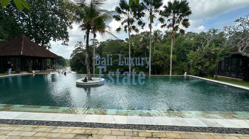 Freehold Riverside Villa Bungalow In Pasut Tabanan Bali - Bali Luxury Estate (10)