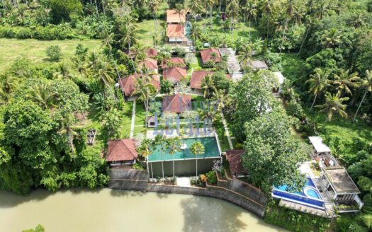 Freehold Riverside Villa Bungalow In Pasut Tabanan Bali - Bali Luxury Estate (2)