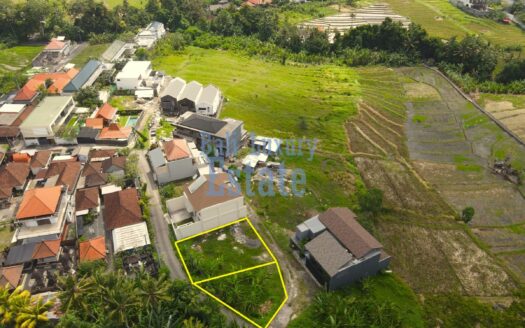 Land-For-Sale-in-Tumbak-Bayuh-Canggu-Bali-Luxury-Esatte-7