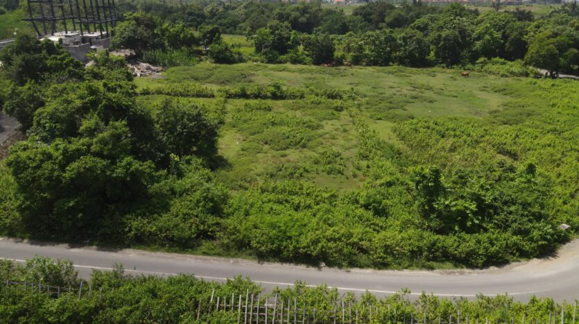 Prime-Land-near-Nyanyi-Beach-with-Incredible-Investment-Potential-Bali-Luxury-Estate-19