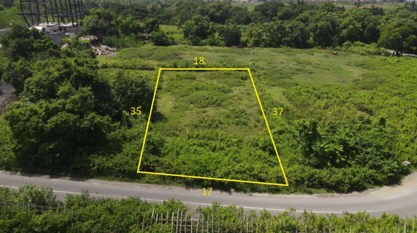 Prime-Land-near-Nyanyi-Beach-with-Incredible-Investment-Potential-Bali-Luxury-Estate-20