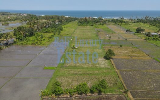 Prime Land for Sale in Belong, Kedungu