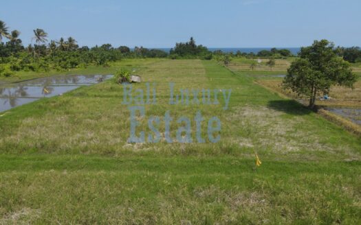 Prime Land for Sale in Belong, Kedungu