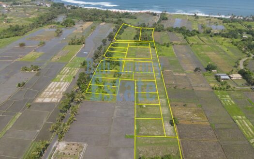 Prime Land for Sale in Belong, Kedungu