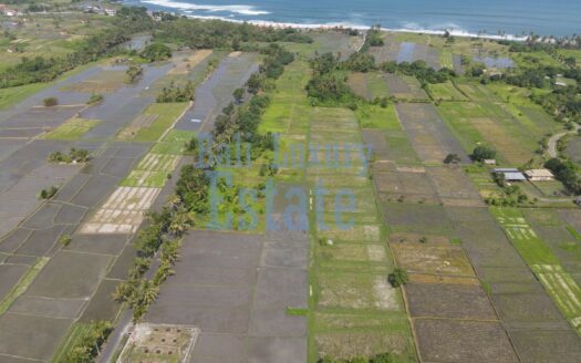 Prime Land for Sale in Belong, Kedungu