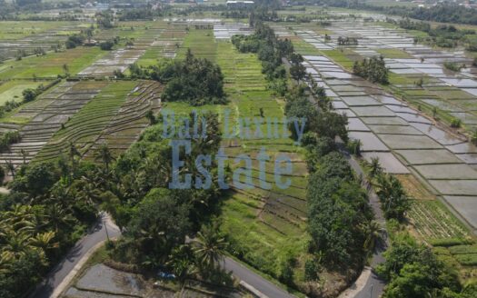 Prime Land for Sale in Belong, Kedungu