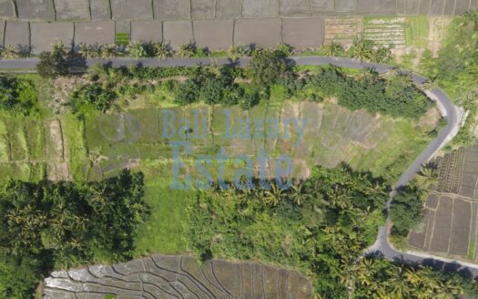 Prime Land for Sale in Belong, Kedungu